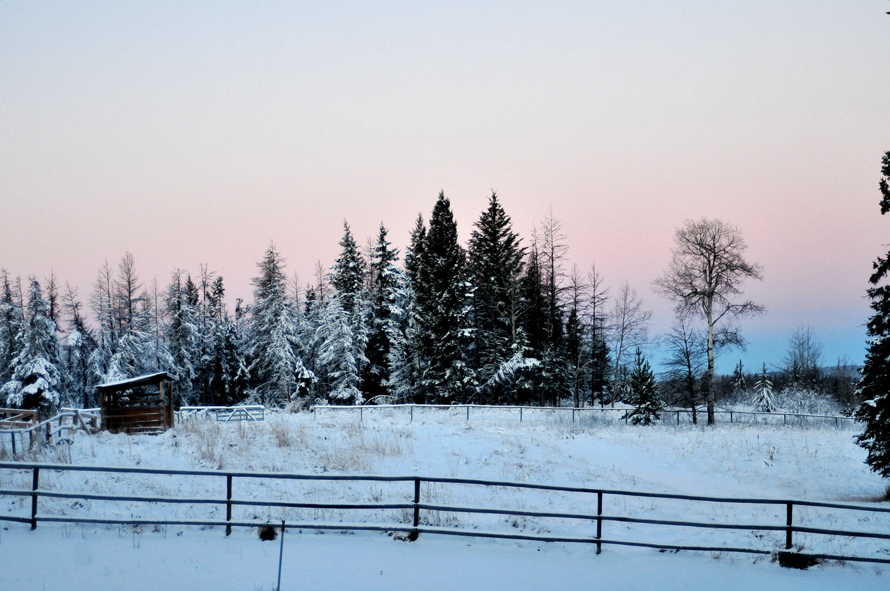 DSC_6091w
