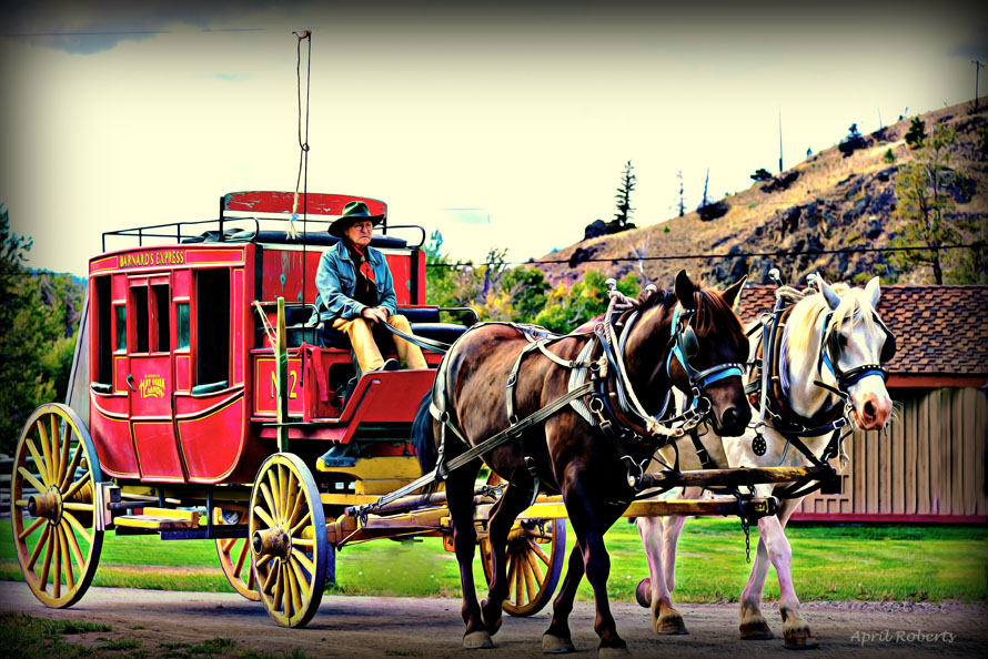 horse n buggy copy
