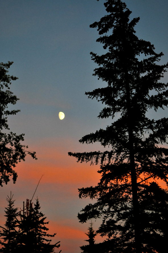 DSC_5352web