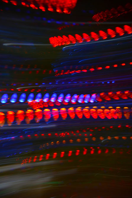 DSC_3697 copy
