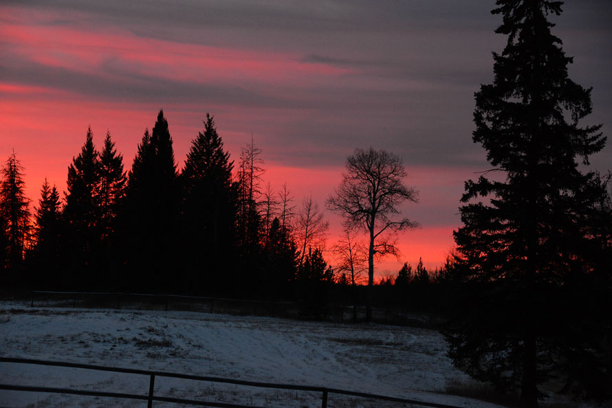 DSC_9520c